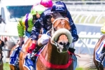 Buffering and Zoustar to clash in the T J Smith Stakes Buffering and Zoustar to clash in the T J Smith Stakes