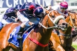 Zoustar still on track for T J Smith Stakes