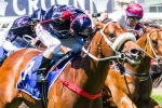 Waller ready to show off Zoustar to the world Waller ready to show off Zoustar to the world
