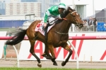 Cummings still to give all clear for Fiveandahalfstar Cummings still to give all clear for Fiveandahalfstar
