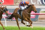 Fontelina To Return In William Reid Stakes