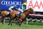 Coolmore Buy Nechita for $1.55 Million