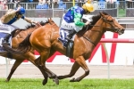 Coolmore Stud Stakes The Ultimate Spring Goal For Ruud Awakening