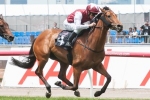Zydeco to miss Caulfield Cup