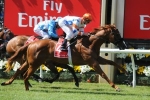 Concealer To Resume In Blue Diamond Fillies Prelude