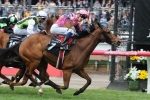 Melbourne Cup Path Starts For De Little Engine In Sandown Cup Melbourne Cup Path Starts For De Little Engine In Sandown Cup