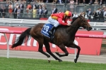 Rock Magic solid in Winterbottom Stakes betting Rock Magic solid in Winterbottom Stakes betting