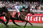 Slow Pace gave Fame Game no chance in Melbourne Cup