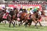 Another Melbourne Cup On The Agenda For Max Dynamite