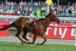 Scarlet Billows has to improve to be a threat in Tatt’s Tiara Scarlet Billows has to improve to be a threat in Tatt’s Tiara