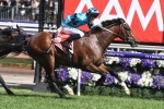 Extra Brut the market mover in 2018 Mackinnon Stakes betting