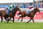 Step-Up In Class For General Groove In Sandown Stakes