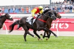 Grand Marshal To Run Better Than Caulfield Cup Odds Suggest Grand Marshal To Run Better Than Caulfield Cup Odds Suggest