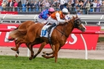 Mahara Gets Her Chance To Win A Group 1 In Coolmore Classic Mahara Gets Her Chance To Win A Group 1 In Coolmore Classic