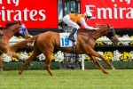 Mahara Could Be Coolmore Classic Bound Mahara Could Be Coolmore Classic Bound