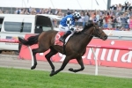 Protectionist On Track For Chelmsford Stakes Return