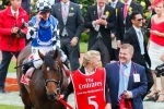 Australian Cup likely option for Protectionist