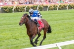 Jordon Lures Dartmouth for Caulfield Cup Bid