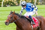 Protectionist getting closer for a return to training
