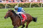Protectionist still on target for Australian Cup