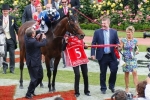 Protectionist to be set for 2015 Sydney Autumn Carnival Protectionist to be set for 2015 Sydney Autumn Carnival
