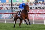 Newmarket Bid for Standish Handicap Fancy Reparations Newmarket Bid for Standish Handicap Fancy Reparations