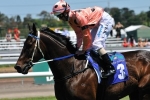 Moody has two of seven opponents for Black Caviar