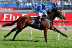 Ironstein Included In Ipswich Cup Nominations Ironstein Included In Ipswich Cup Nominations