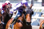 Bernabeu to bounce back with Boss in Newmarket Handicap Bernabeu to bounce back with Boss in Newmarket Handicap