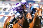 Bernabeu is the new kid on the block in the Black Caviar Lightning Bernabeu is the new kid on the block in the Black Caviar Lightning