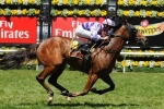 Bernabeu On Track For Black Caviar Lightning Stakes