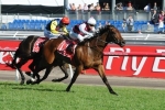 Griffiths Confident Chile Express Can Return To The Winners Stall Griffiths Confident Chile Express Can Return To The Winners Stall