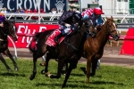 Mosse Confident Red Cadeaux Will Perform In The Hong Kong Vase Mosse Confident Red Cadeaux Will Perform In The Hong Kong Vase