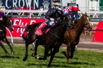 Red Cadeaux Back In Work Ahead Of Melbourne Cup Campaign