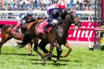 Carpenter Expecting Open Race Ahead Of Melbourne Cup Nominations Release