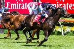 2013 Melbourne Cup Results: Winner is Fiorente