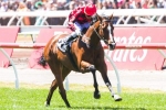 Mujadale Leads All The Way In 2014 Ballarat Cup Mujadale Leads All The Way In 2014 Ballarat Cup