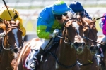 Oakleigh Girl still the one to beat in the Magic Millions says Newitt