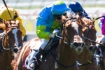 Newitt banking on good barrier for Oakleigh Girl In Golden Slipper