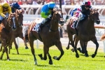 Oakleigh Girl To Contest Calaway Gal Plate Before Magic Millions Oakleigh Girl To Contest Calaway Gal Plate Before Magic Millions