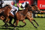 Richie’s Vibe Confirmed for Australia Stakes Defence
