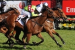 Vasil Chasing Group Win With Richie’s Vibe In Sandown Stakes Vasil Chasing Group Win With Richie’s Vibe In Sandown Stakes