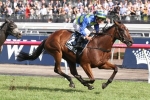 Peter Moody gets the inside mail on the Caulfield Cup hopefuls
