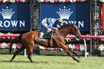 Jameka heads 2016 Vinery Stud Stakes nominations Jameka heads 2016 Vinery Stud Stakes nominations