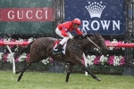 Tempt Me Not Could Miss Light Fingers Stakes Tempt Me Not Could Miss Light Fingers Stakes
