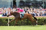 The Quarterback Primed for Gilgai Stakes The Quarterback Primed for Gilgai Stakes