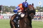 Chester Manifold Stakes Likely for Zebrinz Chester Manifold Stakes Likely for Zebrinz