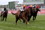 Vinland back on track for Inglis Nursery Vinland back on track for Inglis Nursery