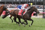 Australian Cup redemption the Autumn agenda for Awesome Rock