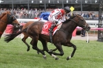 Australian Cup redemption the Autumn agenda for Awesome Rock Australian Cup redemption the Autumn agenda for Awesome Rock